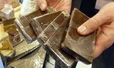 ضبط 100 «طربة حشيش» بحوزة عنصرين إجراميين بالإسكندرية