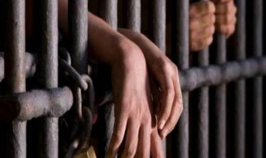 المؤبد والمشدد 10 سنوات لمتهمين لاتجارهما بالبشر والتسبب في وفاة فتاة بإمبابة