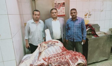 ضبط لحوم مذبوحة خارج المجازر وغير صالحة للاستهلاك الآدمي بالبحيرة 