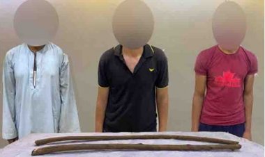 كشف غموض العثور على عامل مقتول داخل أرض زراعية بالمنيا