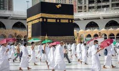  رئيس بعثة الحج المصرية: أول أفواج الحجاج يضم 1100 شخصا من محافظات الغربية والدقهلية والقليوبية