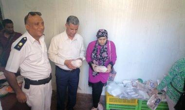 ضبط 733 كيلو فراخ مجمدة فاسدة في الأقصر