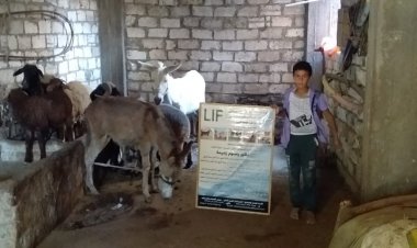 ضمن «حياة كريمة».. تنفيذ قافلة سكانية شاملة بقرية عزير بوادي النطرون 