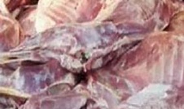 ضبط طن و200 كيلو لحوم «فاسدة» داخل مطعم شهير بالسلام