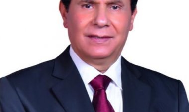 النائب محمد الصالحي: نثق في قدرة مصر على مواجهة تحديات تغييرات المناخ