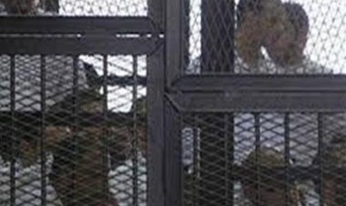 تأجيل محاكمة متهمين في قضية «خلية استهداف الكنائس» لجلسة 25 يوليو