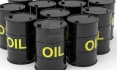 ارتفاع أسعار النفط عالميا وانخفاض الدولار بسبب محادثات الـG7