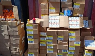 إحباط تهريب أدوية ومكملات غذائية ومواد مخدرة بميناء الإسكندرية