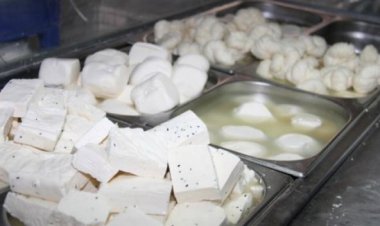 ضبط صاحب ثلاجة بحوزته 2 طن «جبن فاسد» في الشرابية 