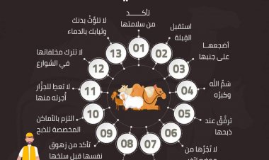 لا تظهر لها آلة الذبح .. الإفتاء توضح آداب الأضحية