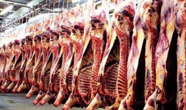 المجازر تستعد لاستقبال عيد الأضحى المبارك