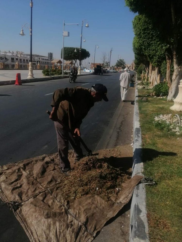 رفع 157 طن مخلفات وقمامة خلال حملة نظافة في الأقصر