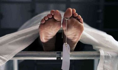 مسجل خطر وراء مقتل مسن داخل أرضه الزراعية بالدقهلية