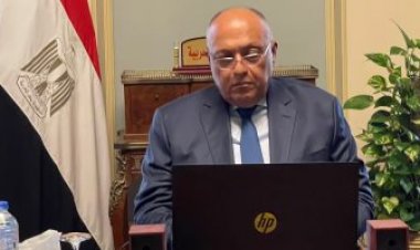 وزير خارجية النمسا: نعمل سويا مع مصر لإنجاح مؤتمر تغير المناخ