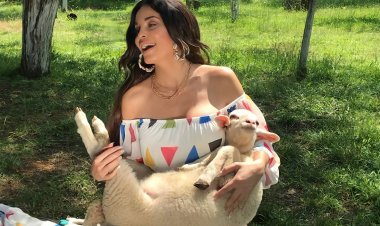 «صار عندي خروف».. دومينيك تثير حيرة جمهورها بصور جديدة