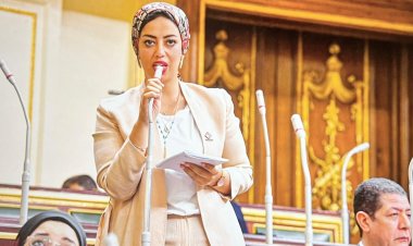 برلمانية: اتفاقية مصر وأمريكا حول التعليم الأساسي ستطور المدارس