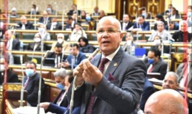 بر لماني: محافظات مصر لديها مقومات التنمية الاقتصادية