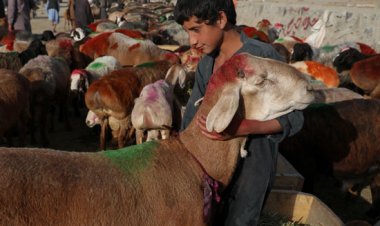 بطقوس غريبة.. استعدادات بعض الدول الإسلامية لعيد الأضحى (صور)