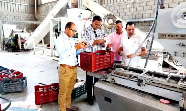 ضبط 9 طن «مخلل» غير صالح للاستهلاك الآدمي بالبحيرة