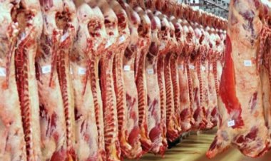 الصحة تكثف حملاتها على المنشآت الغذائية والمجازر.. استعدادا لعيد الأضحى