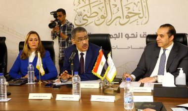 ضياء رشوان: جميع المصريين مدعوون للحوار الوطني بأفكارهم