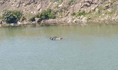 النيابة العامة تأمر بحبس المتهمين بقتل مينا أمير بديرب نجم