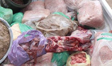 ضبط لحوم وأغذية فاسدة فى حملات تموينية بالإسكندرية