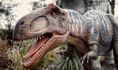 الأرجنتين تكتشف ديناصورًا مفترسًا عملاقًا جديداً
