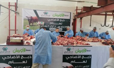 ذبح ٩١ أضحية وتوزيعها على الأسر الأولى بالرعاية بنطاق ٦ مراكز في البحيرة