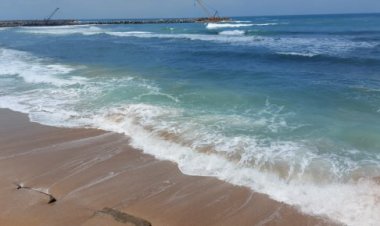 بسبب ارتفاع الأمواج ونشاط الرياح.. رفع الرايات الصفراء على شواطئ الإسكندرية