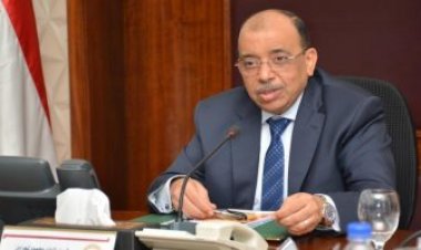 وزير التنمية المحلية يستعرض جهود الوزارة في التحول الرقمي