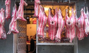 تحصيل 250 ألف جنيه غرامات من محال الجزارة والشوادر المخالفة بالإسكندرية