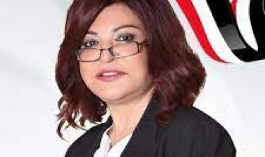 طلب إحاطة بالنواب بشأن راتب مدرب المنتخب المصري الجديد