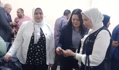 لجنة المشروعات الصغيرة بالنواب تزور المنطقة الصناعية بالإسماعيلية