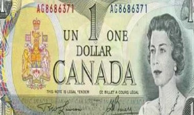 الدولار الكندي والنيوزيلاندي والين الياباني أبزر العملات الخاسرة اليوم 