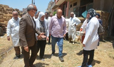 تحصين 323 رأس ماشية ضد الحمى القلاعية وحمى الوادى المتصدع ببنها 