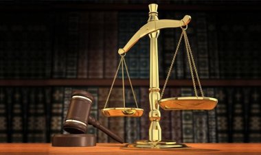 بسبب 500 جنيهًا.. المشدد 7 أعوام لبائع كبدة قتل مسئول دعاية بآلة حادة في قنا