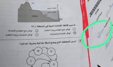 نست إخفاء اسمها.. طالبة تصور امتحان الجيولوجيا وتنشره عبر الإنترنت بالشرقية