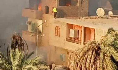 تسبب في دمار عمارة سكنية.. حريق هائل في مزرعة نخيل بالأقصر