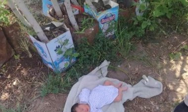 العثور على طفل رضيع ملقي بجوار مشتل بمنطقة حلوان