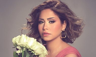 شيرين تكشف تفاصيل جديدة بشأن أزمتها مع حسام حبيب: «وكلت محامي بمليون جنيه»