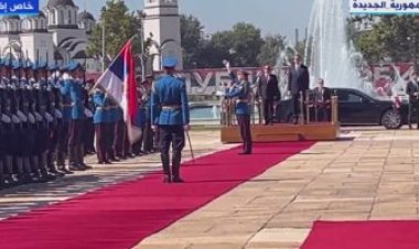 بدء جلسة المباحثات الرسمية بين الرئيس السيسي ونظيره الصربي