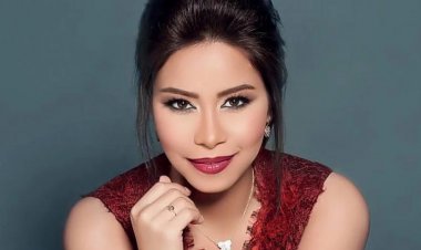  شيرين عبد الوهاب تتقدم ببلاغ للنائب العام ضد حسام حبيب