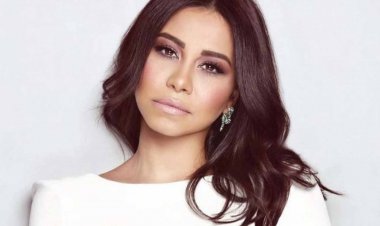 محامي شيرين عبد الوهاب: كل ما قالته موكلتي عن حسام حبيب موثق بالأدلة والشهود