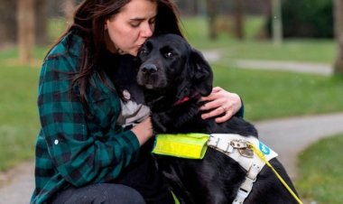 أمن القاهرة يعيد الكلب المسروق من داخل فيلا التجمع الخامس