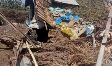 زراعة المنوفية: إزالة فورية لـ10 حالات تعد على الأراضي الزراعية