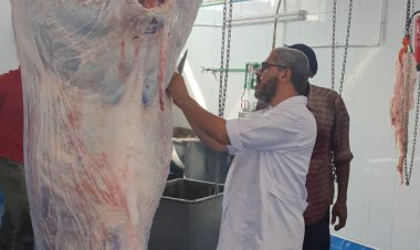 محافظ الغربية يتلقى تقريرا عن الذبائح داخل مجازر المحافظة