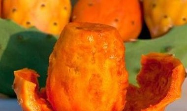 يساعد على إنقاص الوزن.. تعرفي على الفوائد الصحية للتين الشوكي