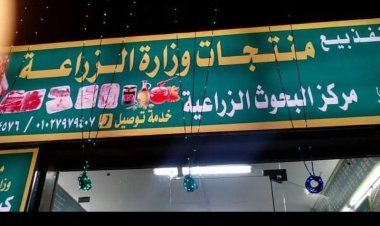 اليوم.. الزراعة تبدأ طرح طبق البيض بسعر 62 جنيها بمنافذها