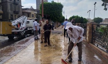 حملات نظافة وتجميل مكثفة بكفر الزيات في الغربية